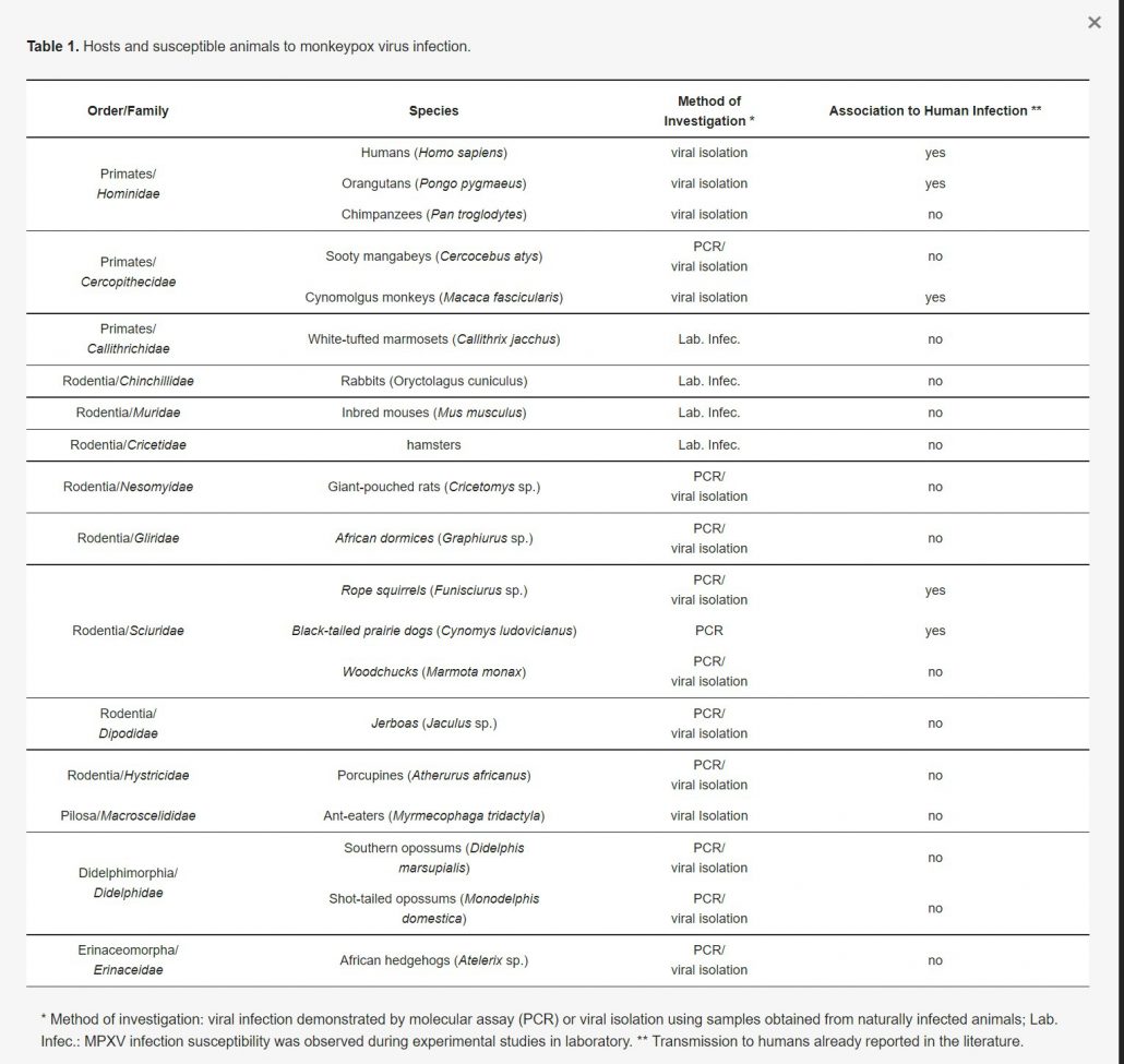 Hosts and susceptible animals to monkeypox virus infection