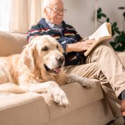 Owner sitting next to dog