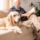 Owner sitting next to dog
