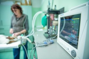dog in surgery with monitoring machine dog in surgery with monitoring machine