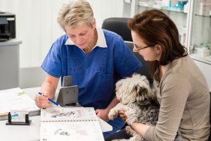 vet and dog owner in discussion vet and dog owner in discussion