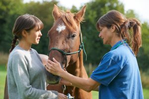 vet examine horse in field with owner present Vet examine horse in field with owner present